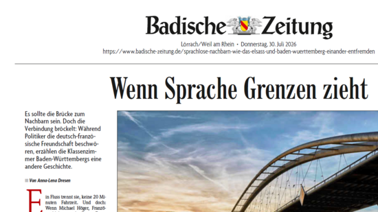Screenshot eines Teils des Artikels