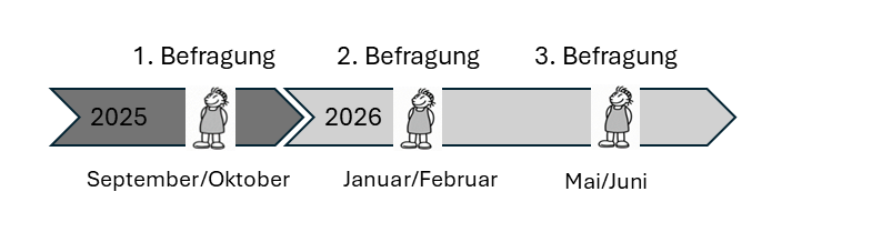 VALISE_F: Timeline Befragungen