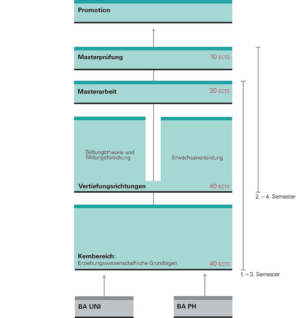 Dieses Bild zeigt den Aufbau des Studiengangs