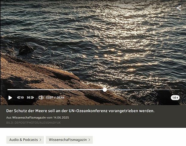Küste mit recht ruhigem Meer, in den eine Mediaplayer eingeblendet ist